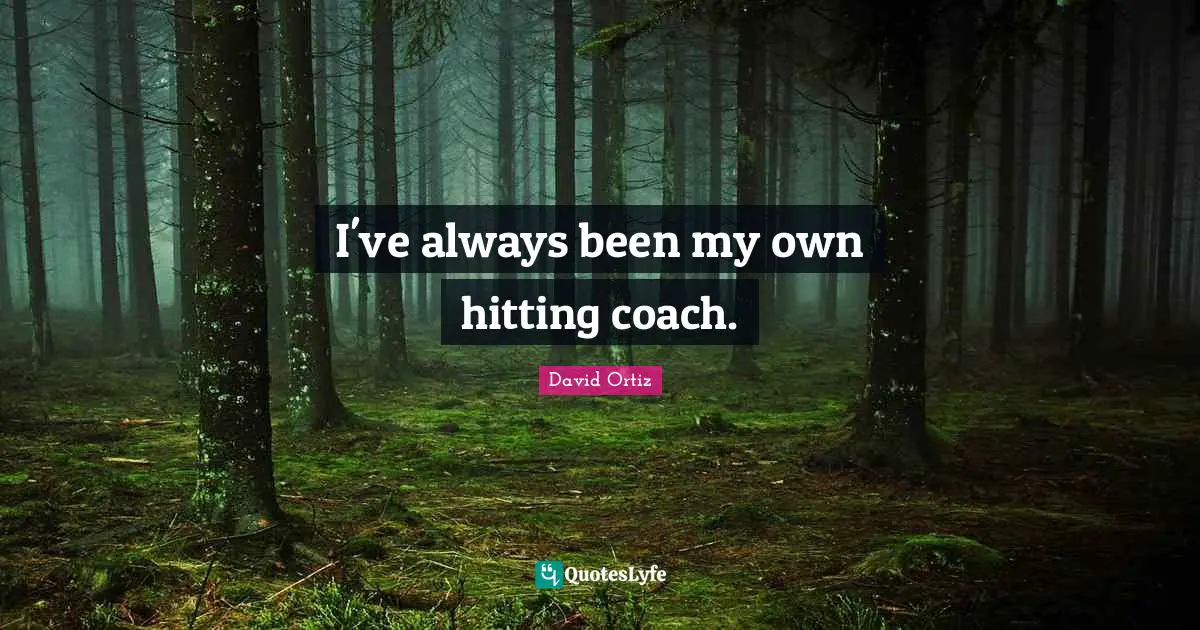 I've always been my own hitting coach.