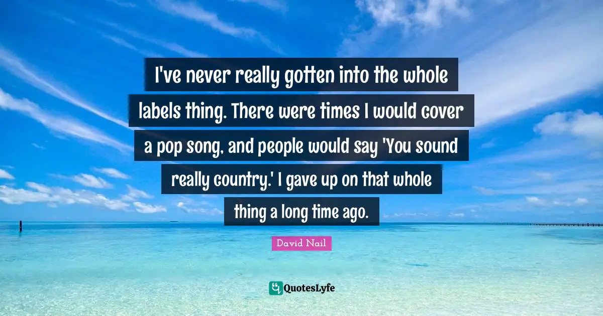 David Nail Quotes: "I've never really gotten into the whole labels thing. There were times I would cover a pop song, and people would say 'You sound really country.' I gave up on that whole thing a long time ago."