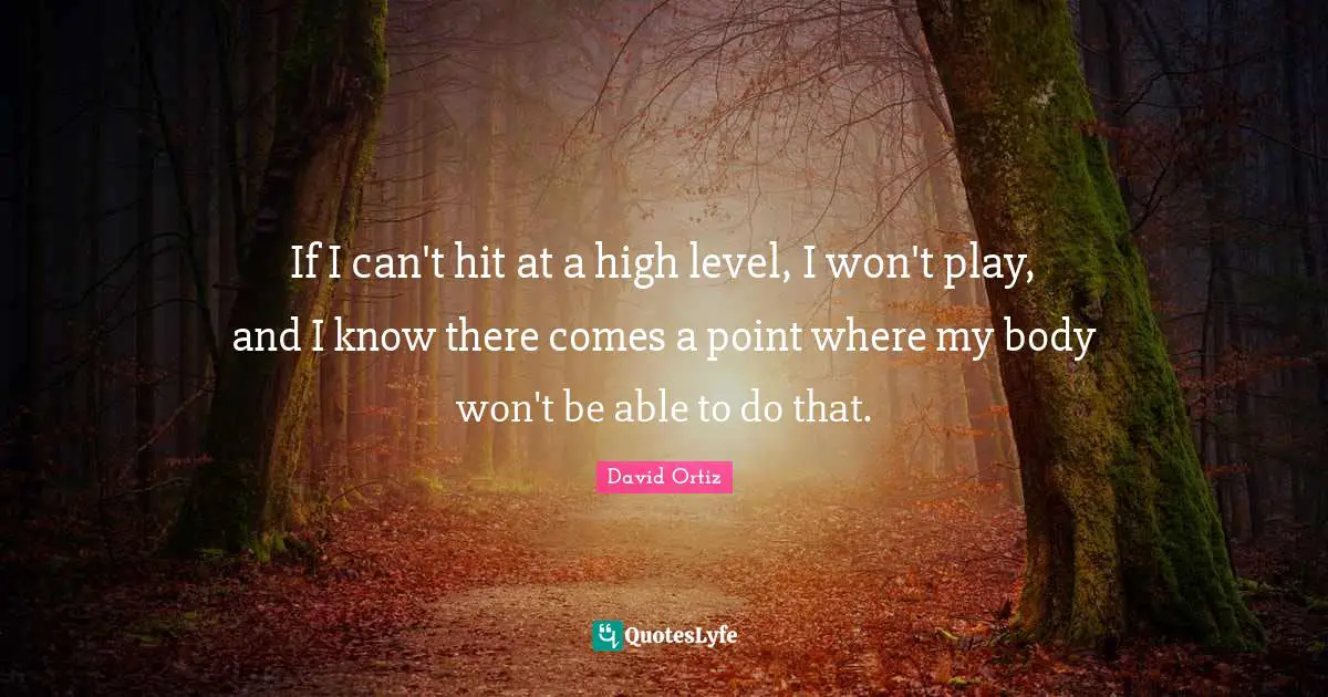 If I can't hit at a high level, I won't play, and I know there comes a point where my body won't be able to do that.