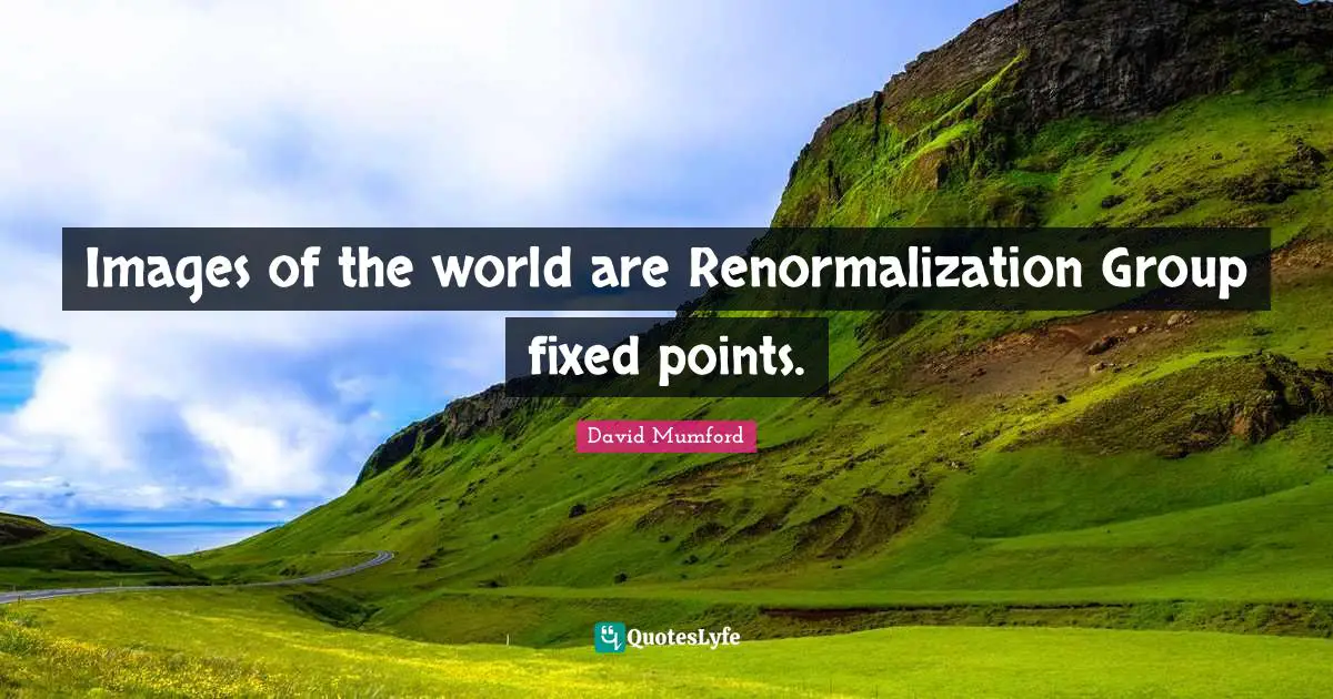 Images of the world are Renormalization Group fixed points.