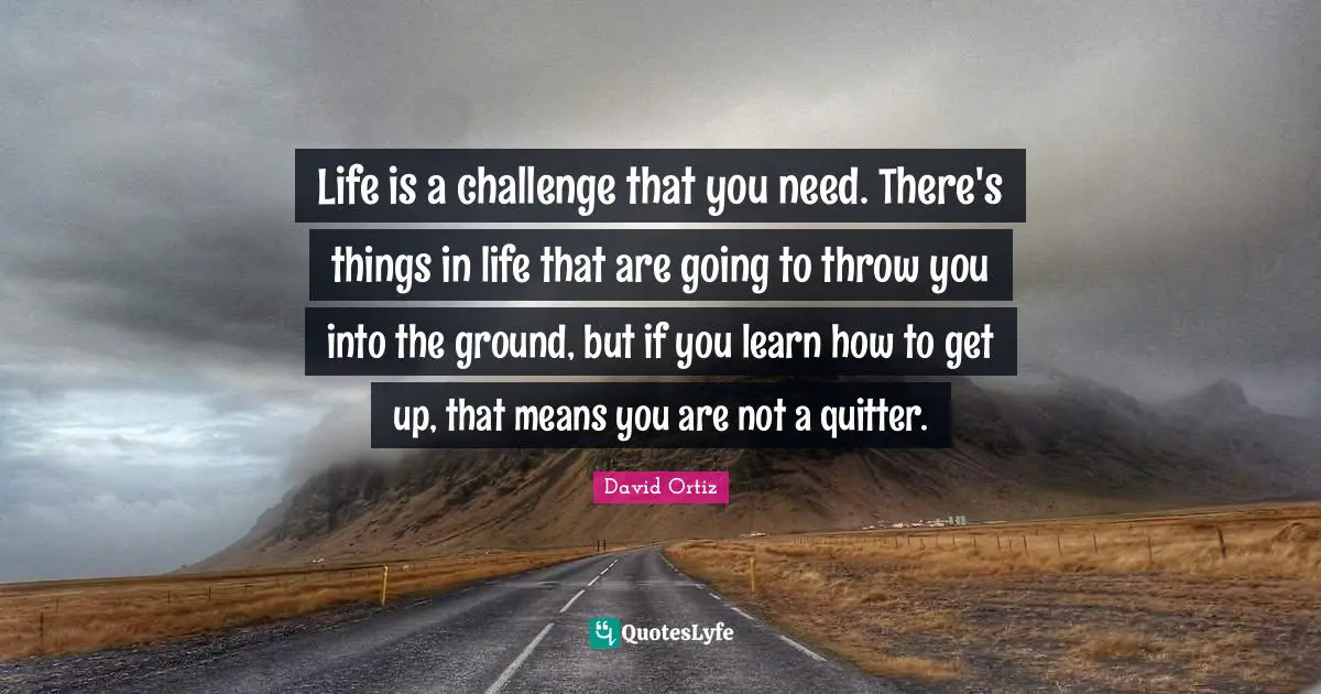 Life is a challenge that you need. There's things in life that are going to throw you into the ground, but if you learn how to get up, that means you are not a quitter.