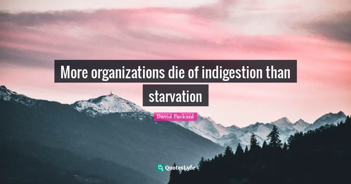 More organizations die of indigestion than starvation