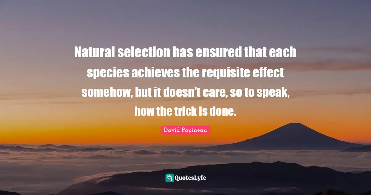 Natural selection has ensured that each species achieves the requisite effect somehow, but it doesn't care, so to speak, how the trick is done.