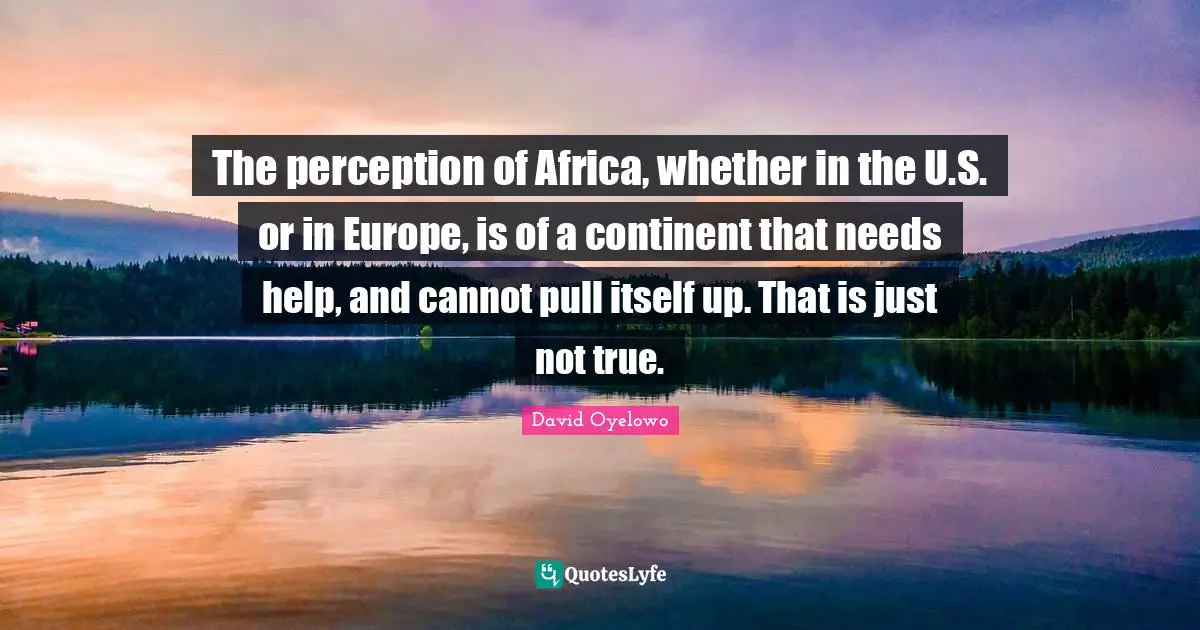 The perception of Africa, whether in the U.S. or in Europe, is of a continent that needs help, and cannot pull itself up. That is just not true.
