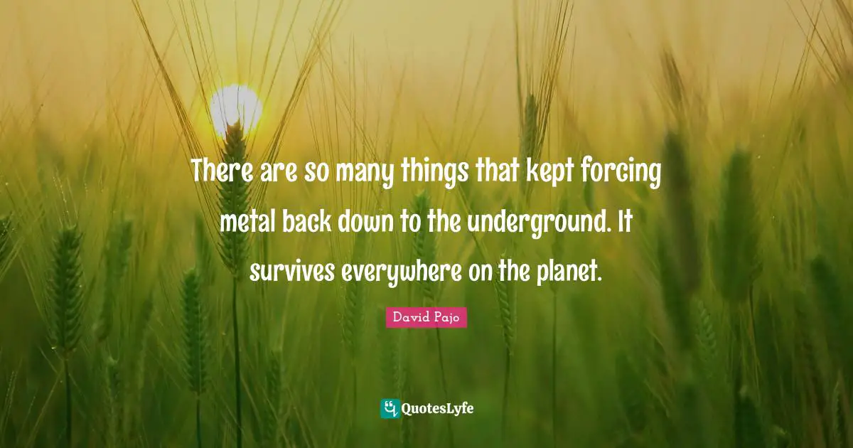 There are so many things that kept forcing metal back down to the underground. It survives everywhere on the planet.
