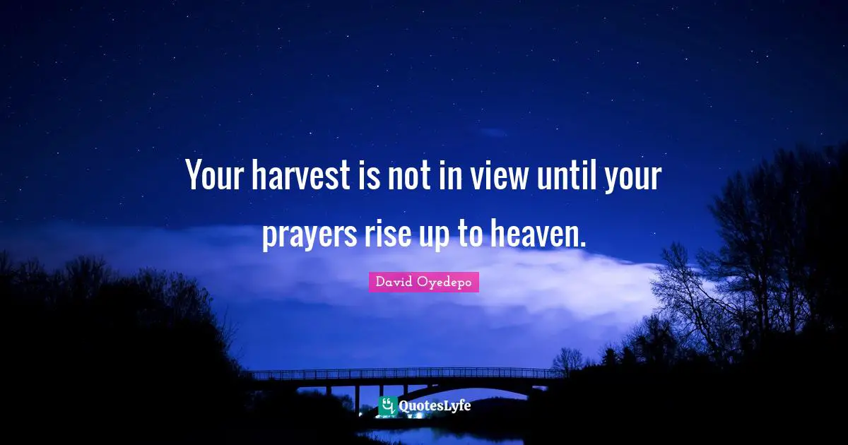 Heaven Quotes: "Your harvest is not in view until your prayers rise up to heaven."