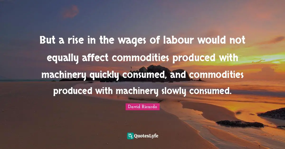 But a rise in the wages of labour would not equally affect commodities produced with machinery quickly consumed, and commodities produced with machinery slowly consumed.