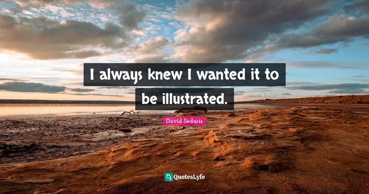 I always knew I wanted it to be illustrated.