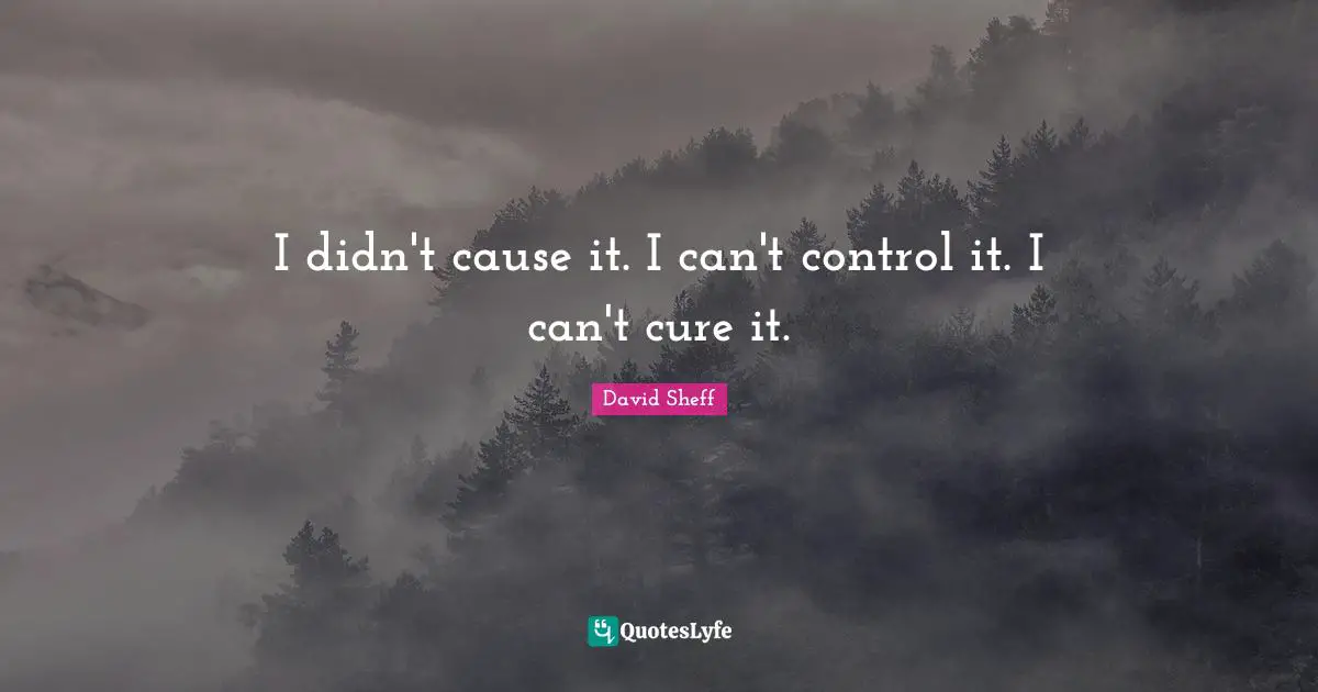 David Sheff Quotes: "I didn't cause it. I can't control it. I can't cure it."