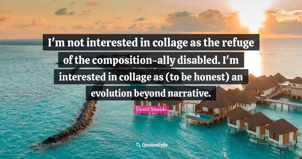 I'm not interested in collage as the refuge of the composition-ally disabled. I'm interested in collage as (to be honest) an evolution beyond narrative.