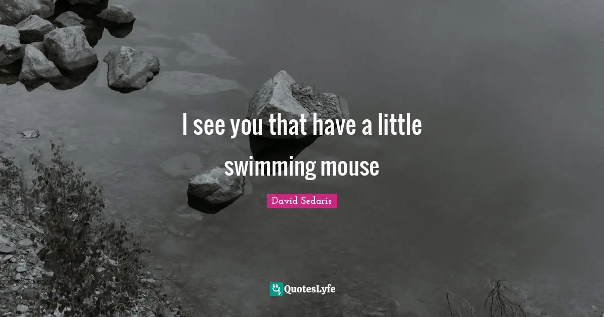 I see you that have a little swimming mouse