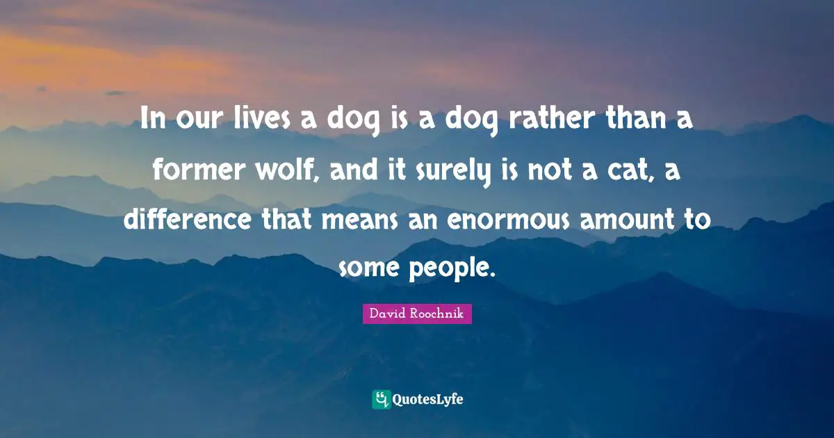 In our lives a dog is a dog rather than a former wolf, and it surely is not a cat, a difference that means an enormous amount to some people.