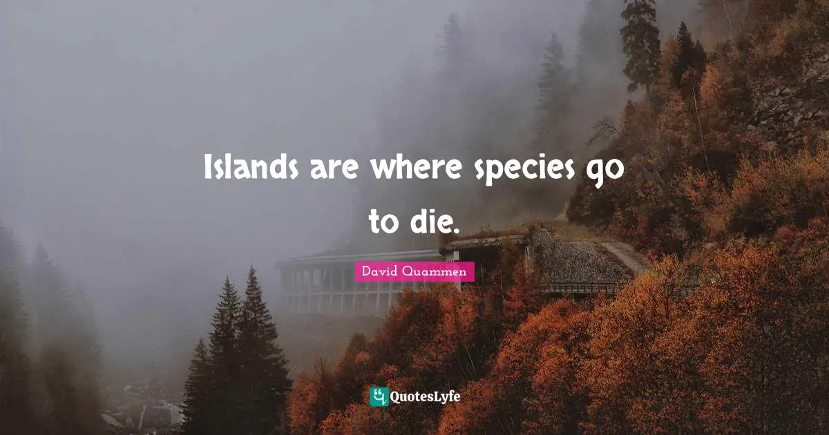 Islands are where species go to die.
