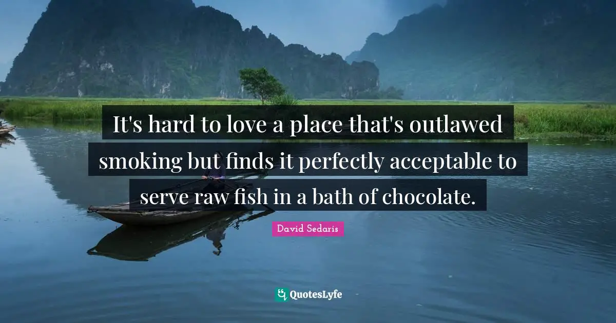 It's hard to love a place that's outlawed smoking but finds it perfectly acceptable to serve raw fish in a bath of chocolate.