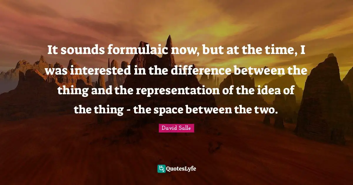It sounds formulaic now, but at the time, I was interested in the difference between the thing and the representation of the idea of the thing - the space between the two.