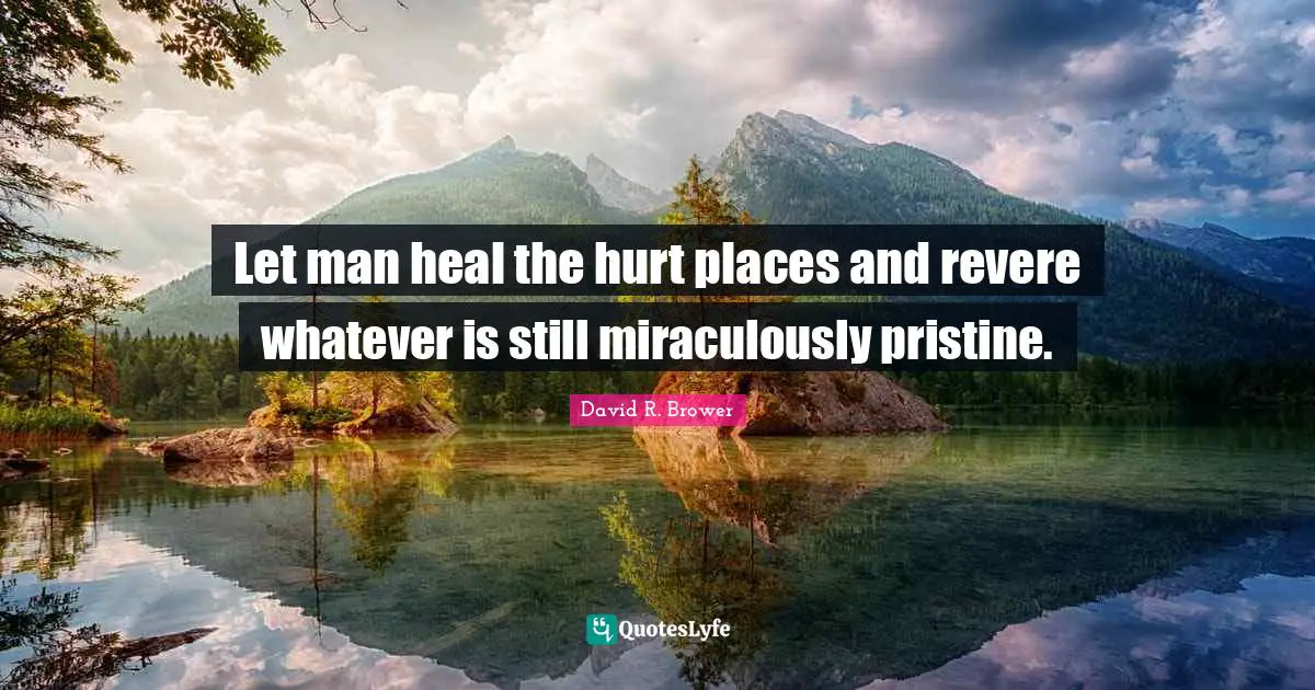 Let man heal the hurt places and revere whatever is still miraculously pristine.