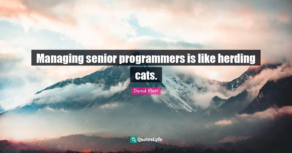 Managing senior programmers is like herding cats.