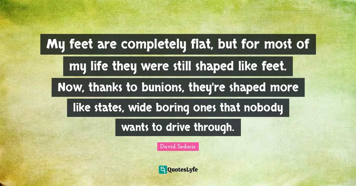 My feet are completely flat, but for most of my life they were still shaped like feet. Now, thanks to bunions, they're shaped more like states, wide boring ones that nobody wants to drive through.