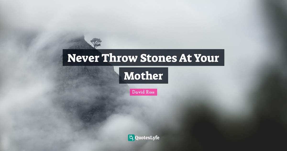 Never Throw Stones At Your Mother
