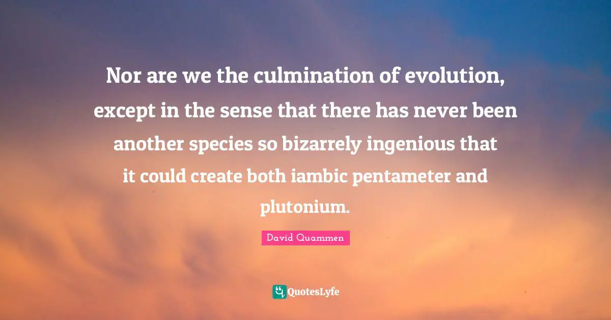 Culmination Quotes: "Nor are we the culmination of evolution, except in the sense that there has never been another species so bizarrely ingenious that it could create both iambic pentameter and plutonium."