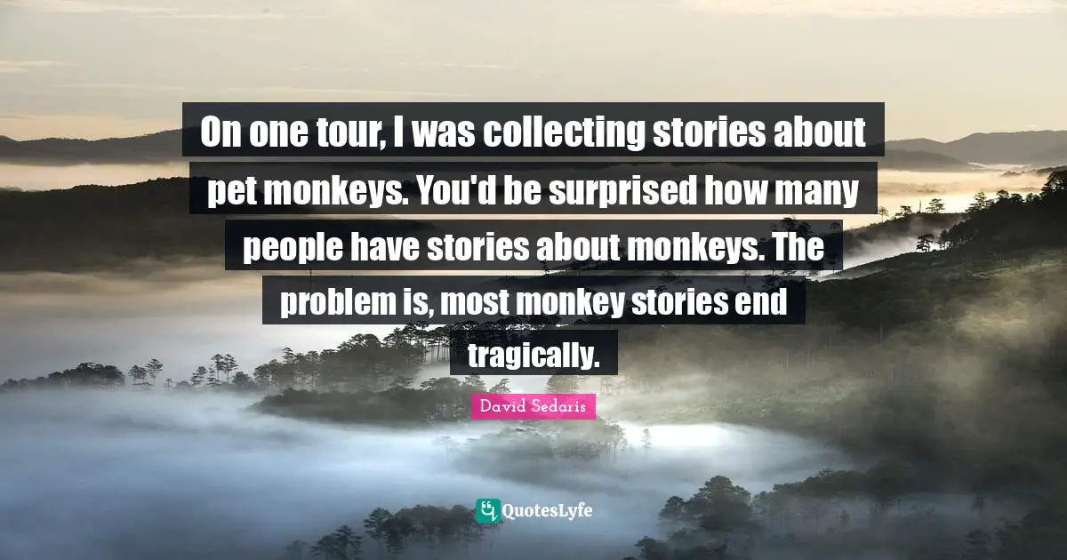 On one tour, I was collecting stories about pet monkeys. You'd be surprised how many people have stories about monkeys. The problem is, most monkey stories end tragically.