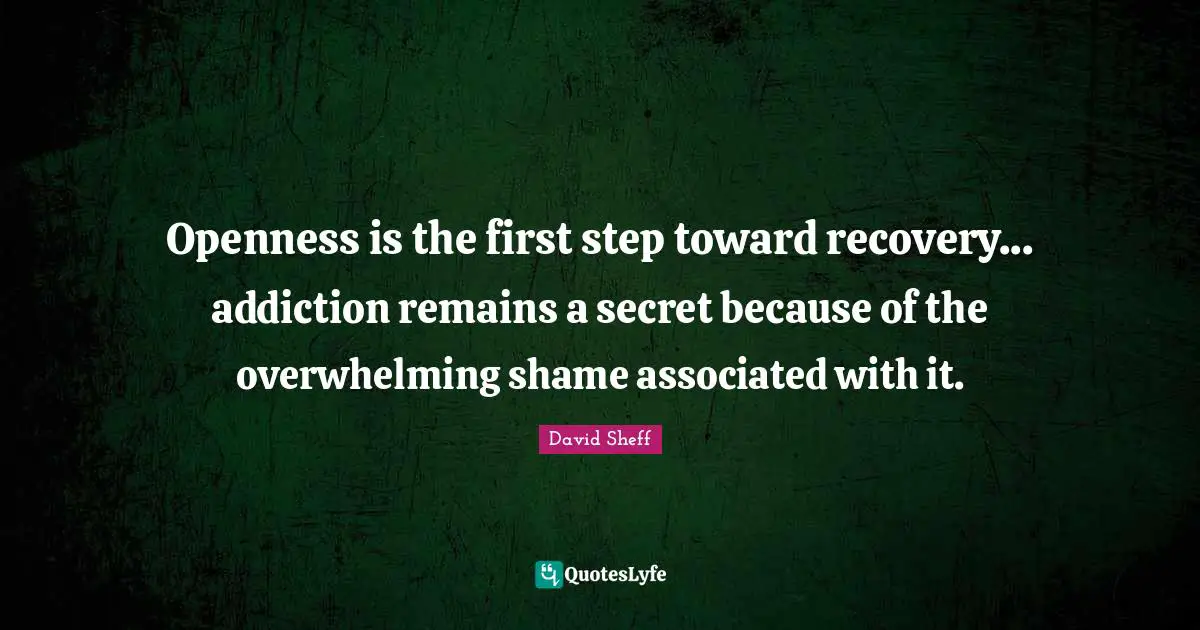 David Sheff Quotes: "Openness is the first step toward recovery... addiction remains a secret because of the overwhelming shame associated with it."