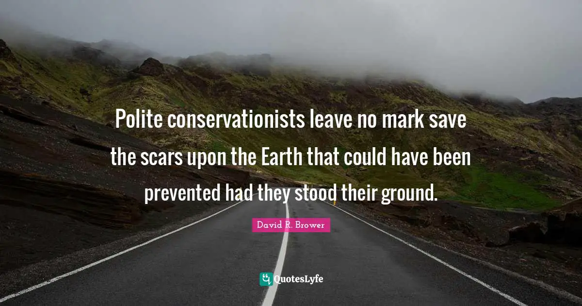 Could Have Been Quotes: "Polite conservationists leave no mark save the scars upon the Earth that could have been prevented had they stood their ground."