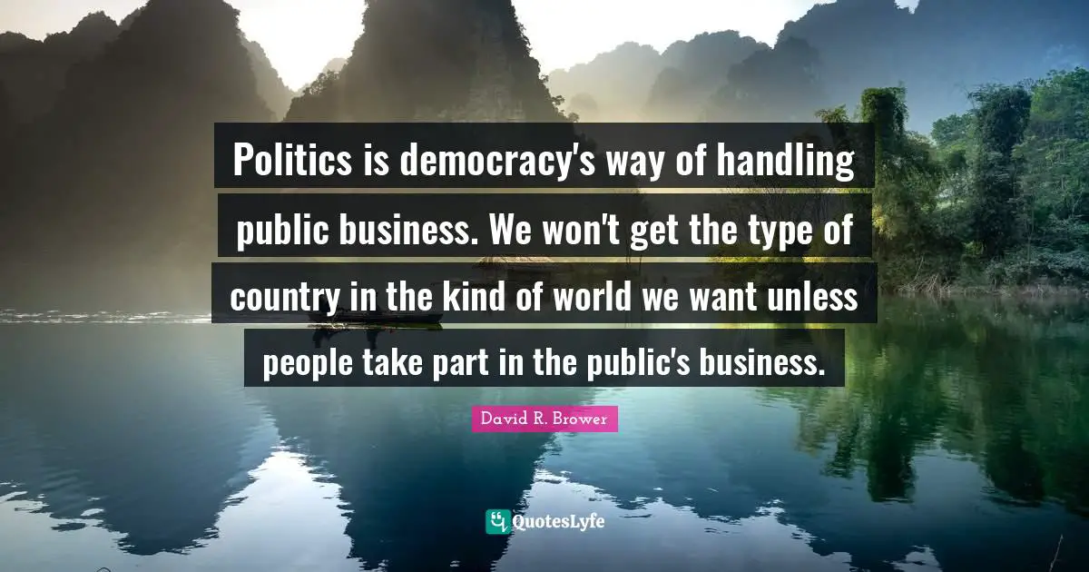 Politics is democracy's way of handling public business. We won't get the type of country in the kind of world we want unless people take part in the public's business.