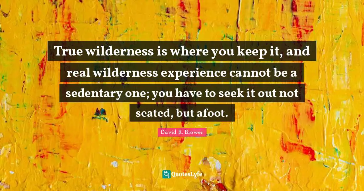 True wilderness is where you keep it, and real wilderness experience cannot be a sedentary one; you have to seek it out not seated, but afoot.