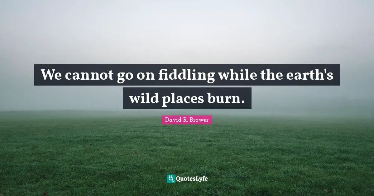 We cannot go on fiddling while the earth's wild places burn.