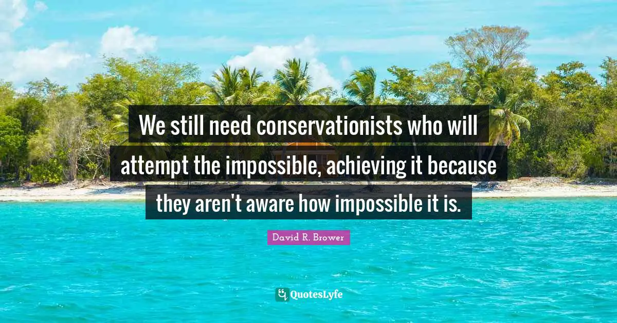 We still need conservationists who will attempt the impossible, achieving it because they aren't aware how impossible it is.