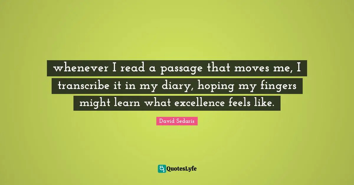 whenever I read a passage that moves me, I transcribe it in my diary, hoping my fingers might learn what excellence feels like.