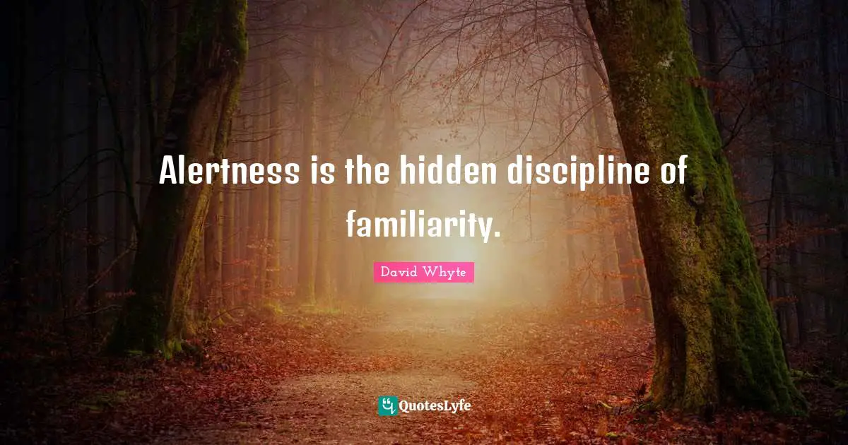 Alertness is the hidden discipline of familiarity.