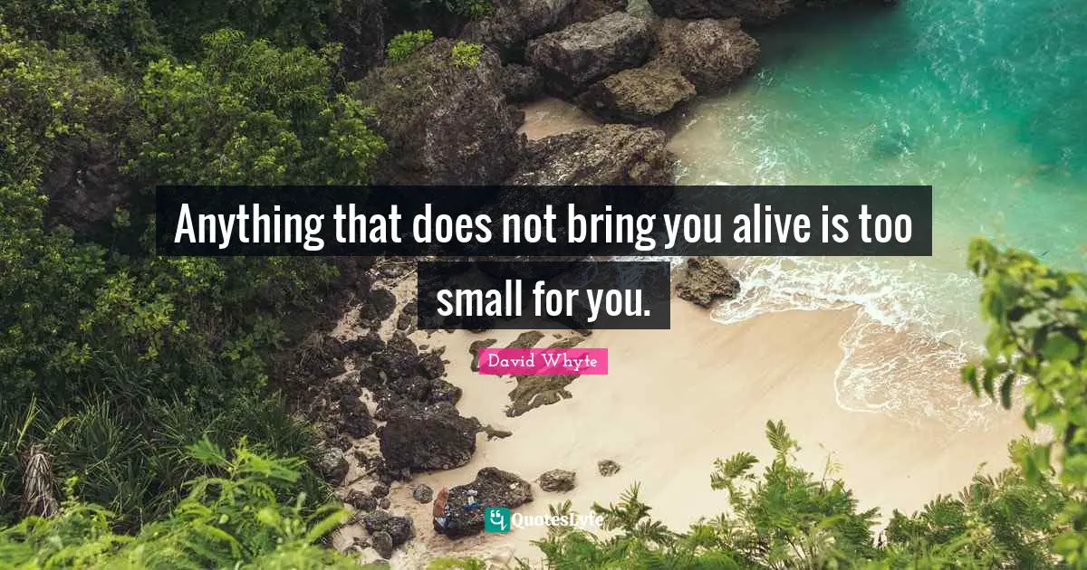 Anything that does not bring you alive is too small for you.