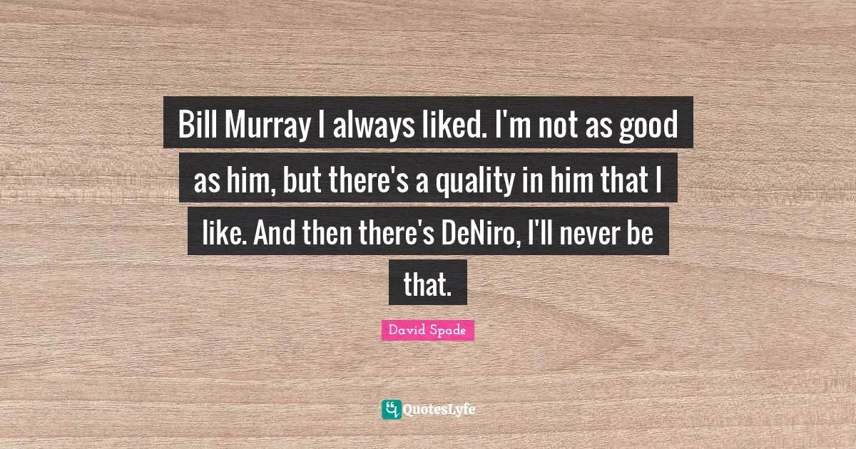 Bill Murray I always liked. I'm not as good as him, but there's a quality in him that I like. And then there's DeNiro, I'll never be that.