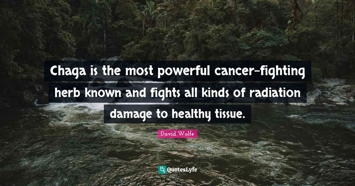 Radiation Quotes: "Chaga is the most powerful cancer-fighting herb known and fights all kinds of radiation damage to healthy tissue."