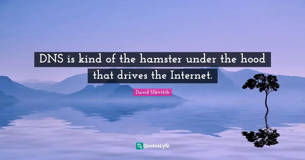 DNS is kind of the hamster under the hood that drives the Internet.
