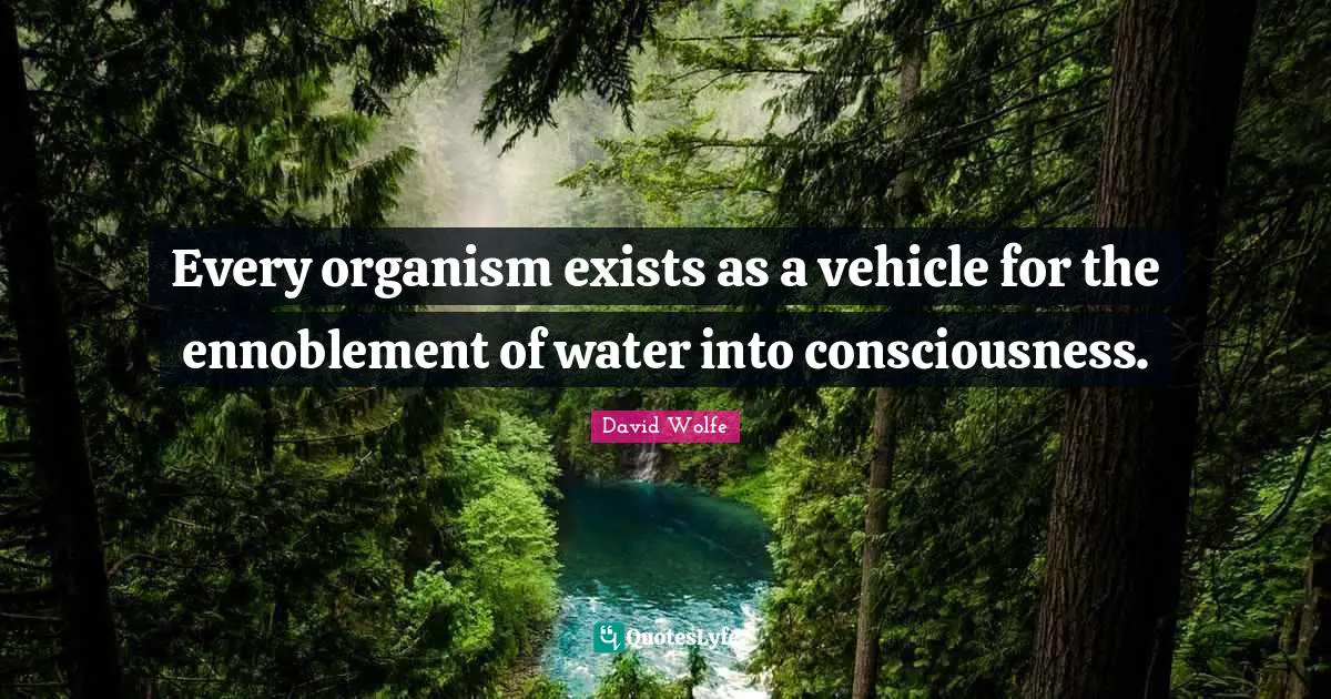 Every organism exists as a vehicle for the ennoblement of water into consciousness.
