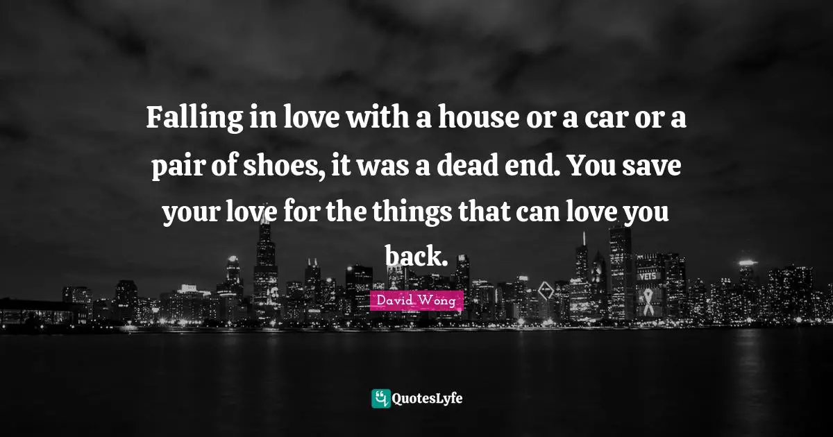 Falling in love with a house or a car or a pair of shoes, it was a dead end. You save your love for the things that can love you back.