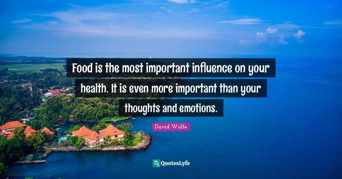 David Wolfe Quotes: "Food is the most important influence on your health. It is even more important than your thoughts and emotions."
