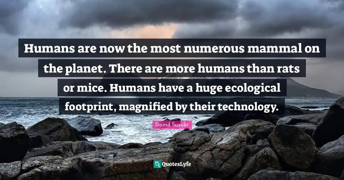 David Suzuki Quotes: "Humans are now the most numerous mammal on the planet. There are more humans than rats or mice. Humans have a huge ecological footprint, magnified by their technology."