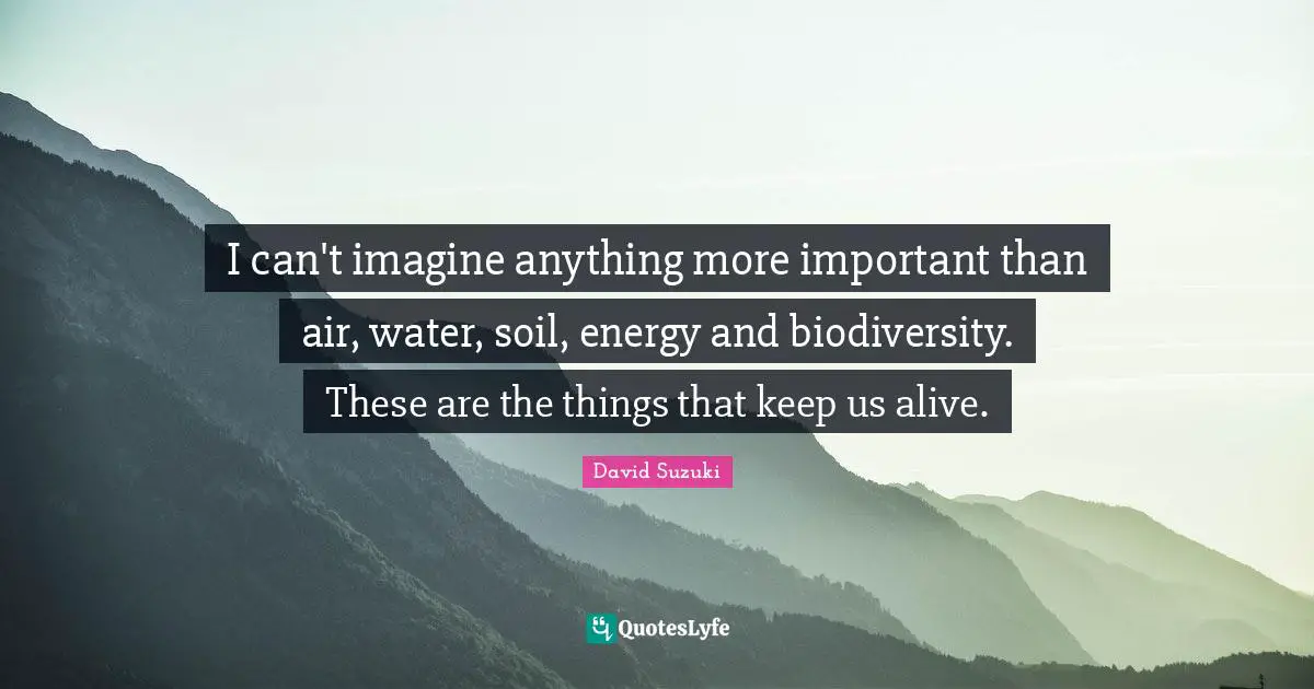 David Suzuki Quotes: "I can't imagine anything more important than air, water, soil, energy and biodiversity. These are the things that keep us alive."