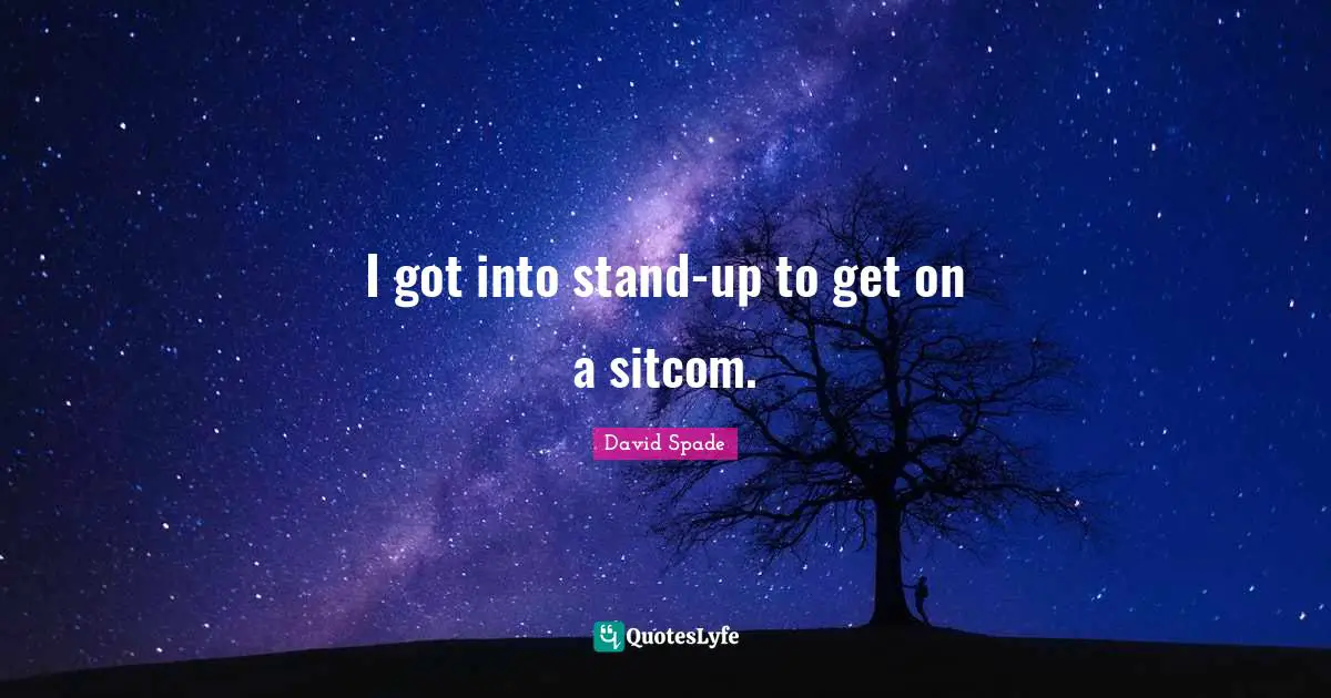 David Spade Quotes: "I got into stand-up to get on a sitcom."