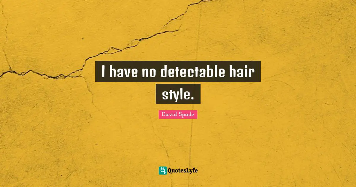 David Spade Quotes: "I have no detectable hair style."