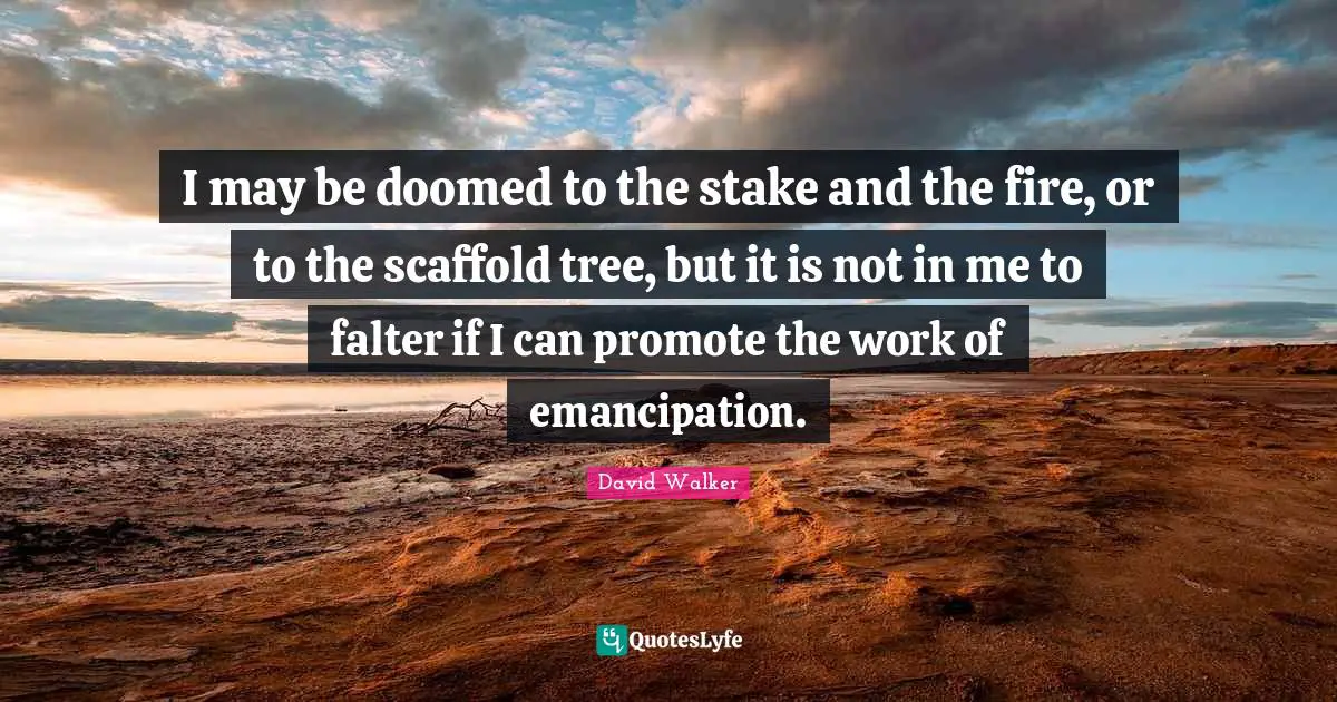 I may be doomed to the stake and the fire, or to the scaffold tree, but it is not in me to falter if I can promote the work of emancipation.
