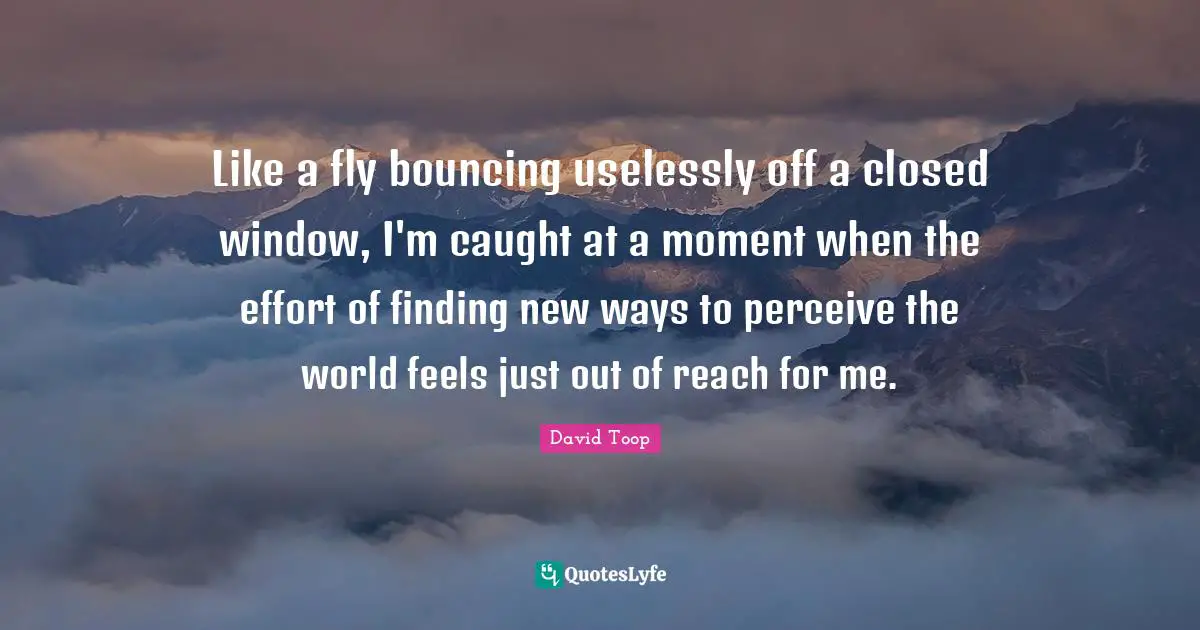 Like a fly bouncing uselessly off a closed window, I'm caught at a moment when the effort of finding new ways to perceive the world feels just out of reach for me.