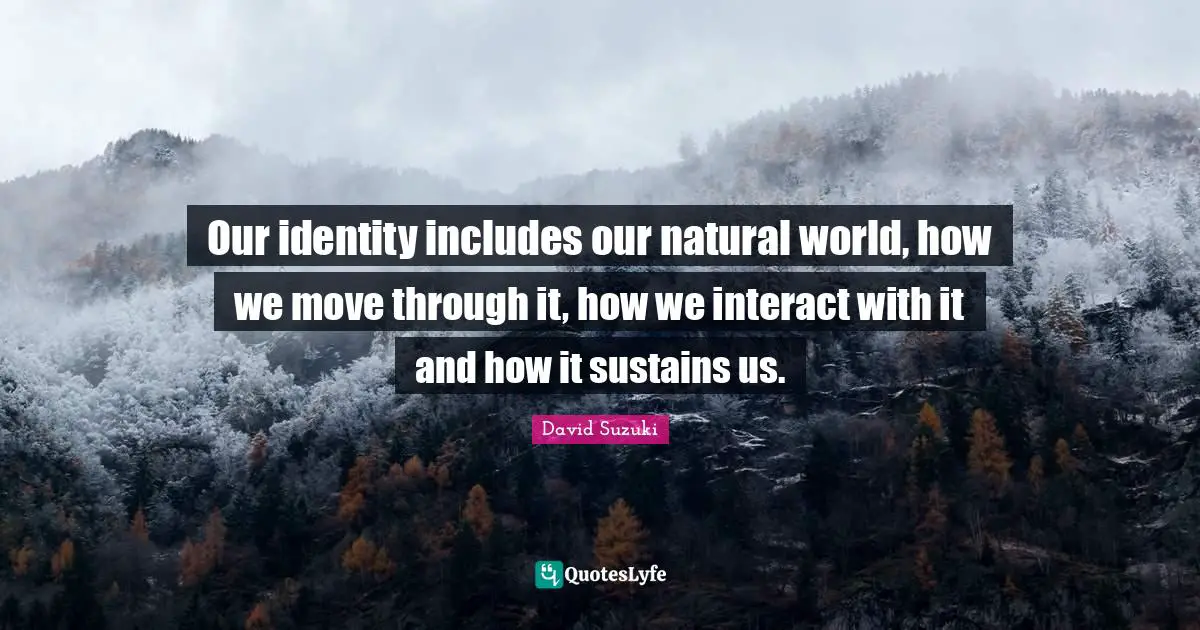 David Suzuki Quotes: "Our identity includes our natural world, how we move through it, how we interact with it and how it sustains us."