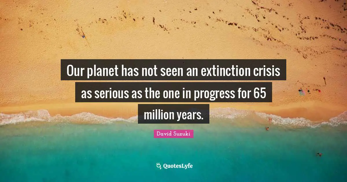 Our planet has not seen an extinction crisis as serious as the one in progress for 65 million years.