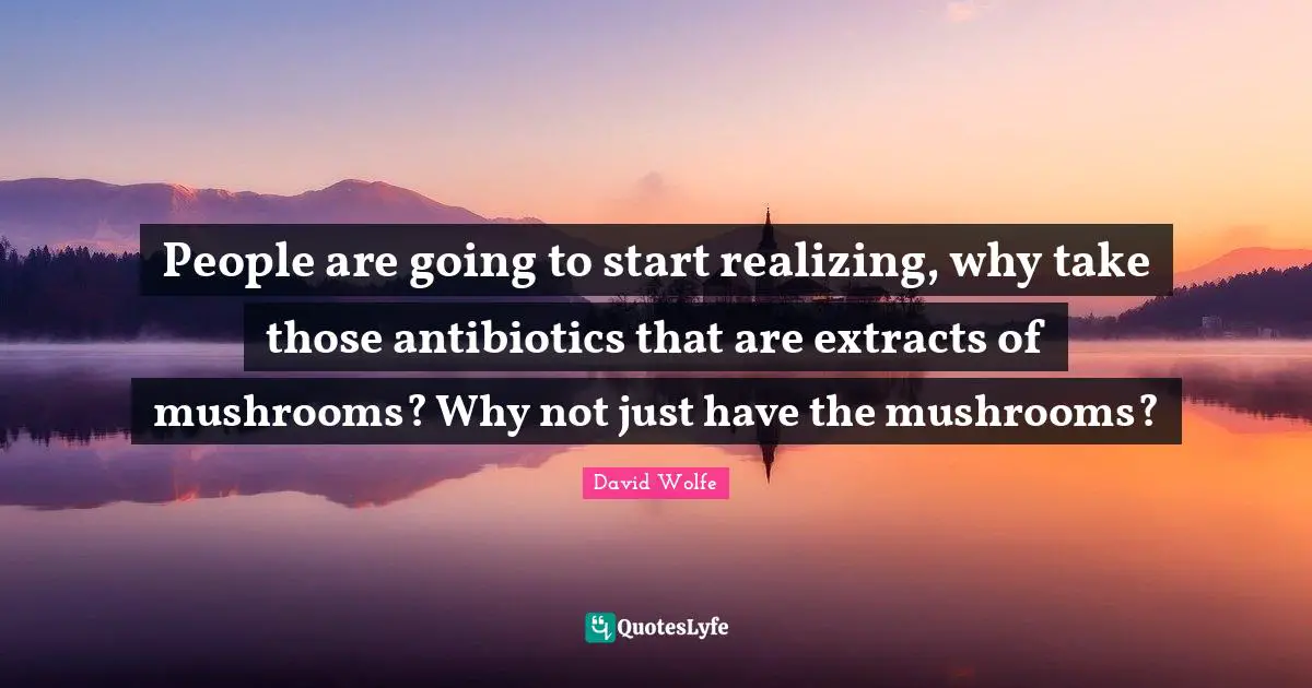 David Wolfe Quotes: "People are going to start realizing, why take those antibiotics that are extracts of mushrooms? Why not just have the mushrooms?"