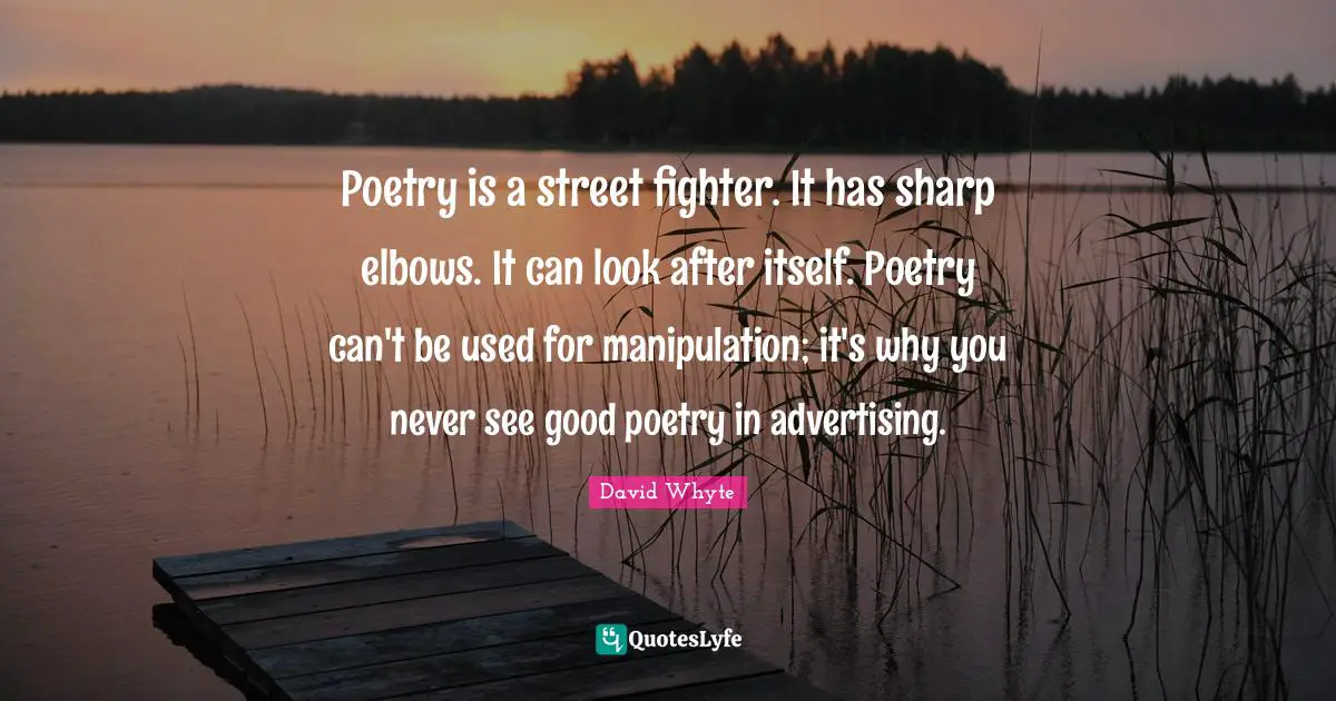 Poetry is a street fighter. It has sharp elbows. It can look after itself. Poetry can't be used for manipulation; it's why you never see good poetry in advertising.